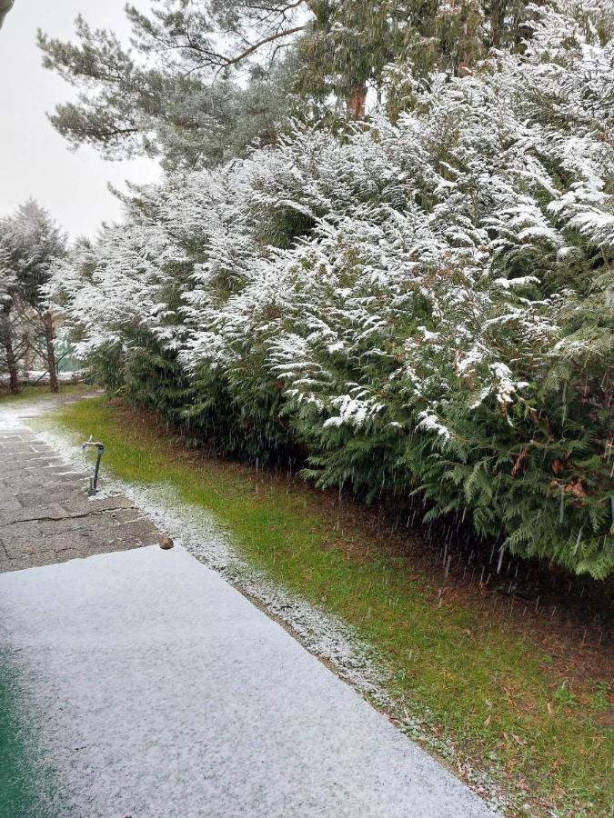 Dunakanyar, Szentendrei Sziget Szamoca Vendeghaz Horany Telen Nyaron Szigetmonostor Exterior photo